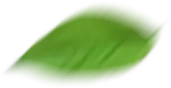 lft b2