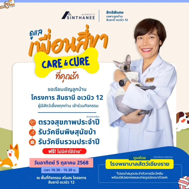โปรโมชัน บ้านเดี่ยว บ้านแฝด เชียงราย 38 care&cure-2025-V3 copy